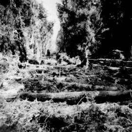 Cliff Hende had the contract to build the road between Okuru and Arawhata