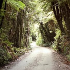 Road into Lake Mahinapua