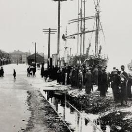 Grey River -  floods and floodwall *PHOTO ALBUM*