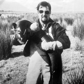 ALBUM - Huge eels caught at 17 Mile in pond .