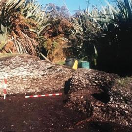 Maori Miden at Bruce Bay -  carbon dated to 1200 AD