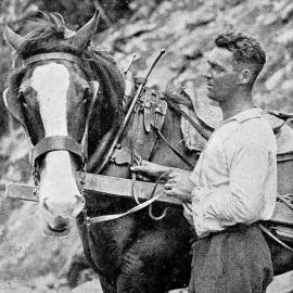A worker and his horse on the Haast Pass Road.ca.1930`s