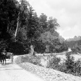 The Road to Lake Kaniere.ca.1900`s.