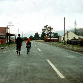 Seddon Street Kumara