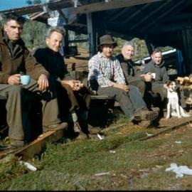 Smoko at Okuku Saw Mill *PHOTO ALBUM*