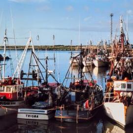 ALBUM - Greymouth Tuna fleet. 1989.