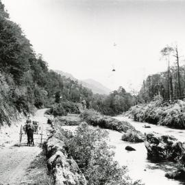 Near Longford on the Upper Buller Gorge Road .