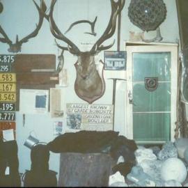 Gunns museum not long before it burned down *PHOTO ALBUM*