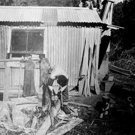 ALBUM - Photos of the Bruce Bay Area .