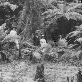 Beech Track from Lake Mahinapua.ca.1900.