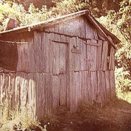 Hunters Slab Hut - vicinity Hendes creek  and Wanganui River, South Westland.1973.