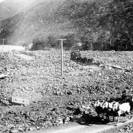 Coaches at Bealey Flat
