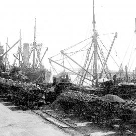 Coal shipment, Grey River.