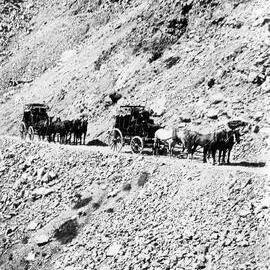 Stagecoach from Canterbury
