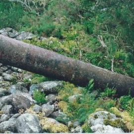 Relating to the Payn, Scettrini and Lalor families who lived in the Kumara area.