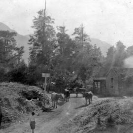 Three photos of Aickens in the early days.