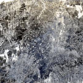 Millerton incline *PHOTO ALBUM*