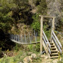ALBUM - BOATMAN'S BRIDGE  -  John Coghlan with wood from the old bridge - and  new swingbridge.2009.