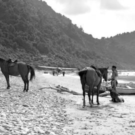 Men with horses, a rowboat and a De Havilland Dragonfly aeroplane,Jackson  Bay, Westland.ca.1940`s.