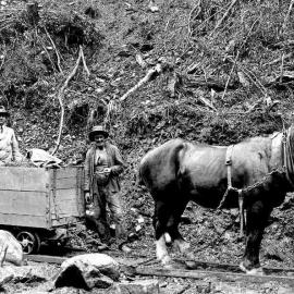Joseph Divis and Cracker Lewis on the Golden Lead tramway, near Big River.ca.1920`s.