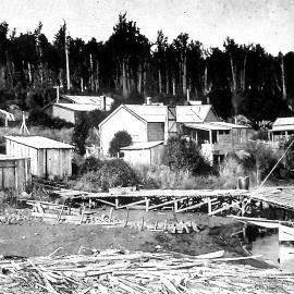 MOANA -  Lake Brunner.