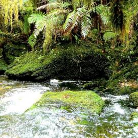 Goldpanning with our 47' Vauxhall J  hubcaps around Rutherglen.1960`s.