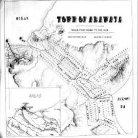 Town of Arawata and Jacksons Bay