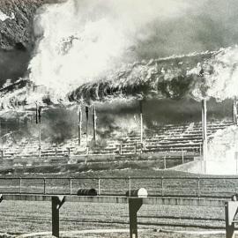 ALBUM - OMOTO RACECOURSE, Greymouth. 1988.