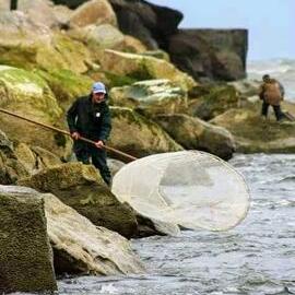 Gordon Richardson whitebaiting at Blaketown Tiphead.
