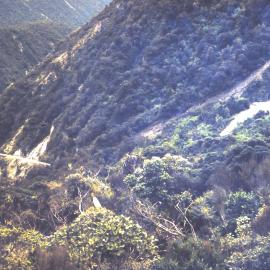 Otira before the viaduct