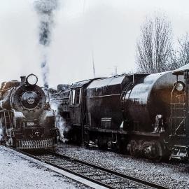 MOANA, Lake Brunner -  Then and Now.