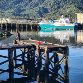 ALBUM - FISHING FLEET GREYMOUTH -  Then and Now.