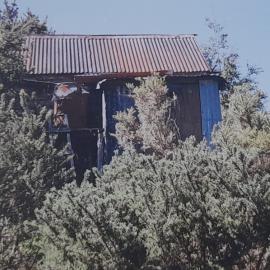 Hut at Hamers Flat, Ahaura River *PHOTO ALBUM*