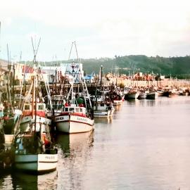 TUNA Season  - 105 boats at Port of Greymouth.1989.