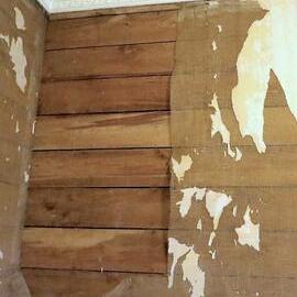 Remember the scrim walls in old houses?