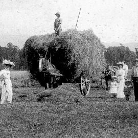 Houliston farm at Kowhitirangi  - hay making season.