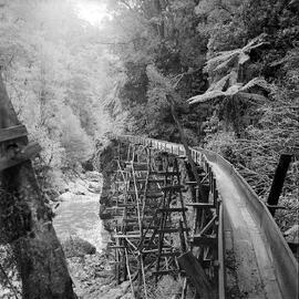 Flume for coal, Cascade Creek, Buller.1945.