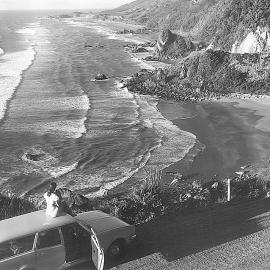  Looking north from Perpendicular Point,Coast Road.