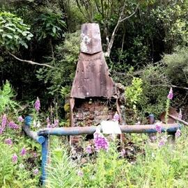 The remnants of a hut on the track up to the Otira Tunnel.