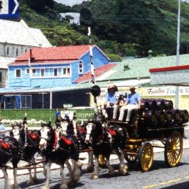 DB horses, Greymouth