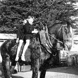 Paddy Brereton's horse called Donkey- used for pulling silver pine