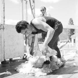 ALBUM - A & P Show at Reefton. 1971.