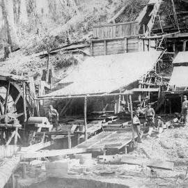 Quartz stamper, Back Lead, Charleston Goldfield. ca.1867.