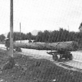 Lokey lugging another massive log along Bottom Road to the mine sawmill. Waiuta.ca.1932.