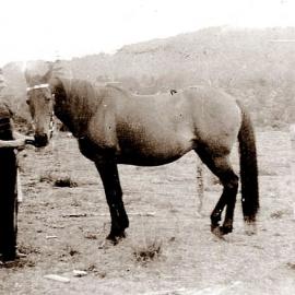 Doug Stewart at Coal Creek.1950`s.
