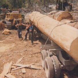  Cat D8, J.C. Gillman saw millers on native, maybe ex machine here -  Ryans used these a lot to pull buildings down with cables