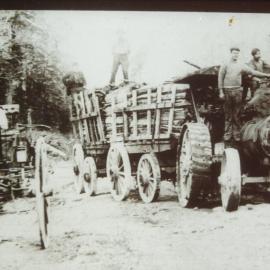  Boatmans saw mill north of Reefton, circa 1900, engine used to cart wood from the mill to Reefton.