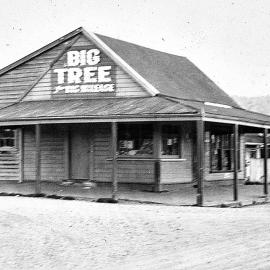 M. Dwyer's store at Hector.