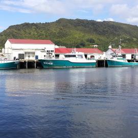 Greymouth Westfleet fishing vessels at wharf