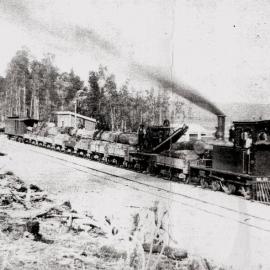 First train to arrive at Moana from Greymouth .1893.